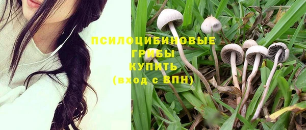 jwh Михайловск
