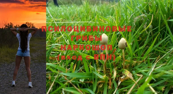 прущая мука Михайловка